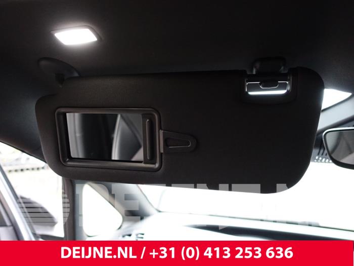 BYD Dolphin Sonnenblende O291129