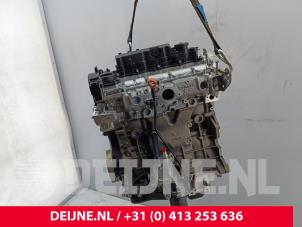 Opel Vivaro Motor O293011 foto 3