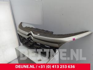 Citroen Jumper Grille O293951 foto 3