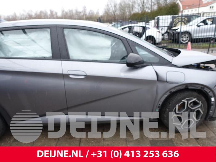 BYD Dolphin Portier 4Deurs rechts-voor O294045