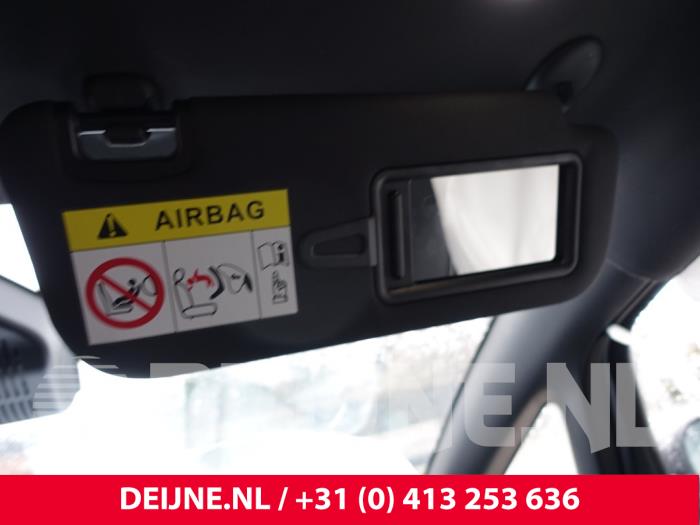 BYD Dolphin Sonnenblende O294065