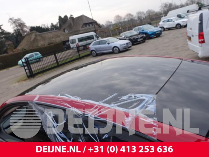 Tesla Model Y Panoramadak O294472