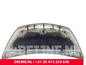Opel Vivaro Motorhaube O295207 foto 2