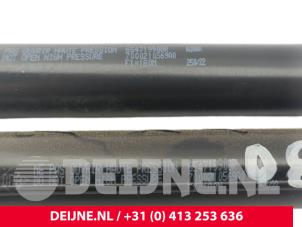 Nissan Townstar Set Gasdämpfer Heckklappe O297318 foto 3