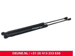 Nissan Townstar Set Gasdämpfer Heckklappe O297318 foto 2