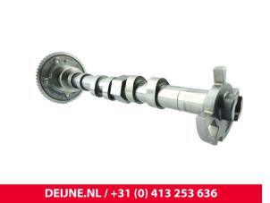 MG ZS Nokkenas O298370 foto 2