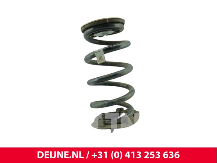 Tesla Model Y Schraubenfeder hinten O300682