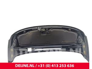 Fiat Doblo Motorkap O300718 foto 2
