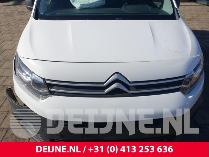 Citroen Berlingo Grillhalter O301920