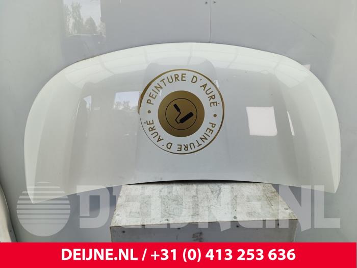 Nissan Primastar Bonnet O302044