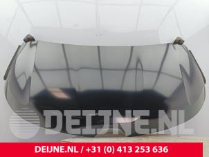 Renault Kangoo Bonnet O9990003258 photo 4