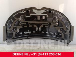 Renault Kangoo Bonnet O9990003258 photo 2