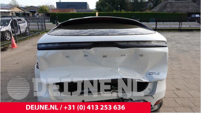 XPENG G6 Fenster hinten O302258