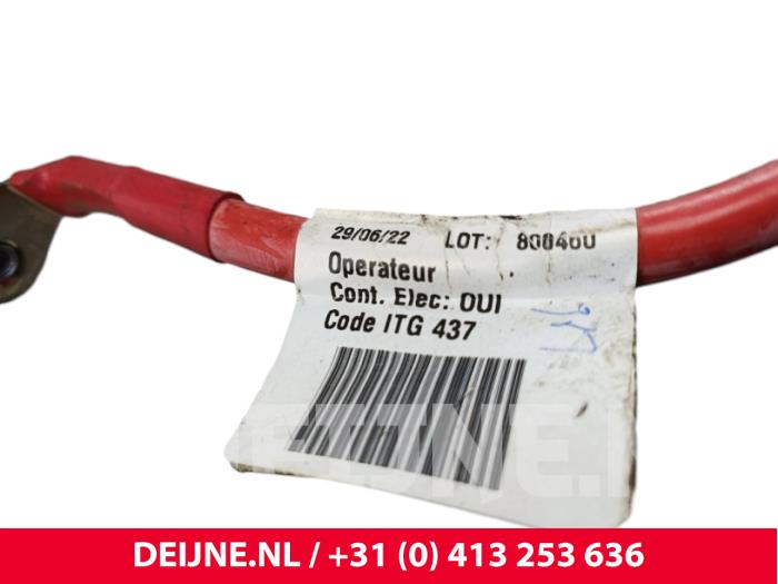 Nissan Primastar Kabelbaum Machinenraum O302465