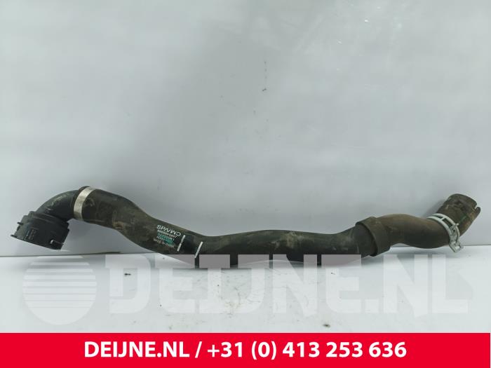 Lynk & Co 01 Slang (diversen) O303711