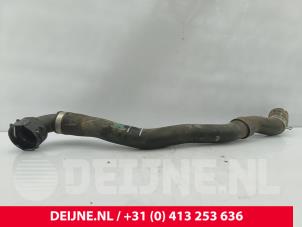 Lynk & Co 01 Slang (diversen) O303711 foto 3
