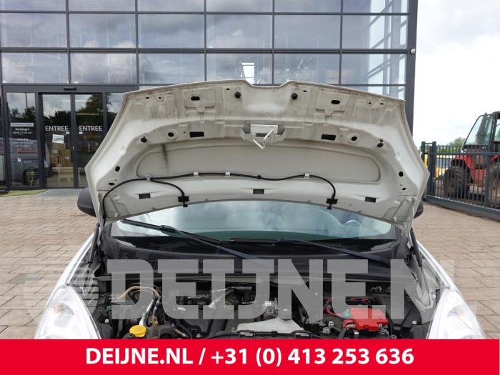 Renault Kangoo Paravent O304390
