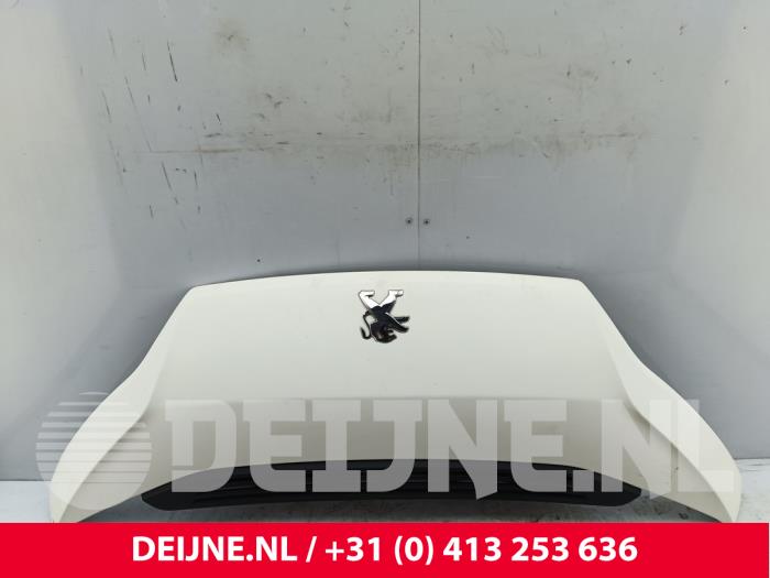 Peugeot Boxer Motorhaube O308718