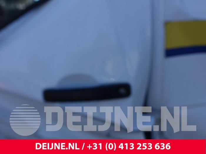 Renault Master Türgriff 2-türig links O309649