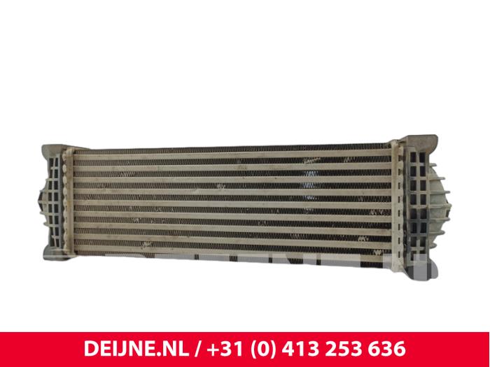 Ford Transit Custom Ladeluftkühler O311078