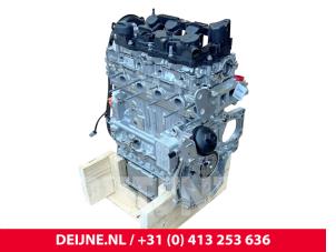 Peugeot Expert Motor O312763 foto 2