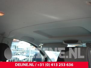 Mercedes Vito Hemelbekleding O316430 foto 2