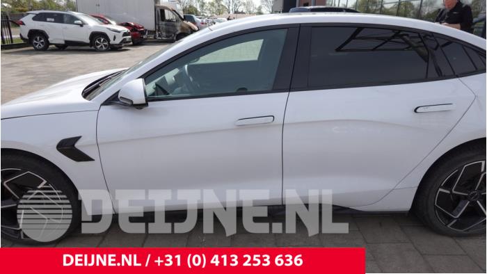 BYD Seal Tür 4-türig links vorne O317232