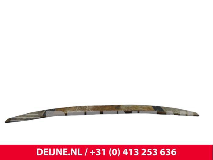 Iveco New Daily Bladveer voor O318926