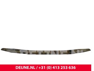 Iveco New Daily Front leaf spring O318926 photo 2