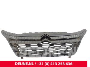 Citroen Jumper Grille O318932 foto 2