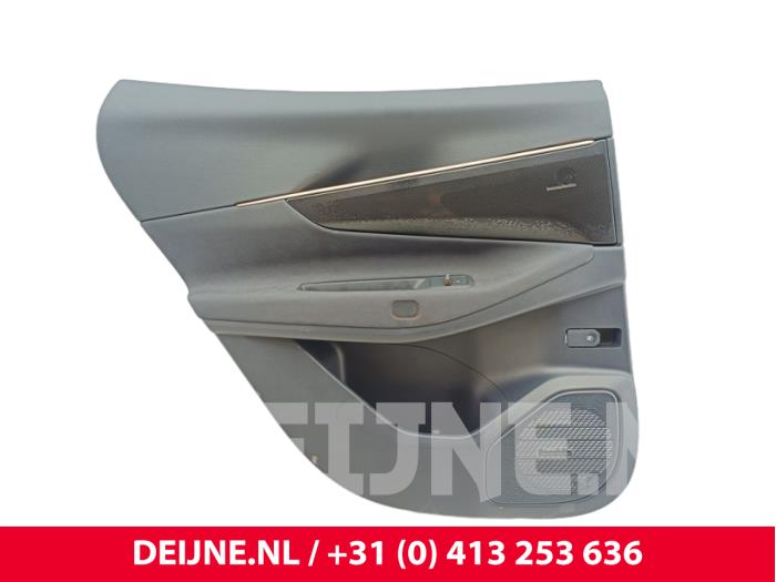 Lynk & Co 08 Türverkleidung 4-türig links hinten O319867