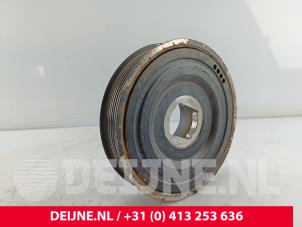 Renault Master Krukas Poelie O319947 foto 3