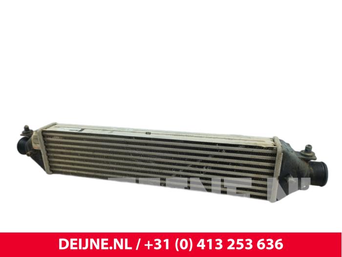 Fiat Doblo Ladeluftkühler O323678