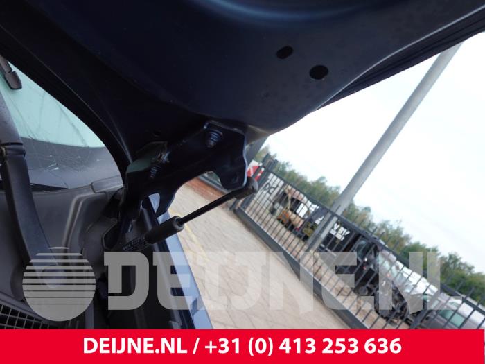 Lynk & Co 01 Gasdämpfer rechts hinten O329663
