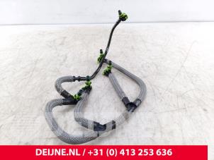Peugeot Expert Brennstoff-Rücklaufleitung O330603 foto 2