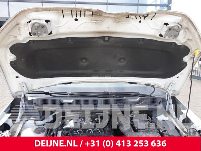 Volkswagen Caddy Bonnet Lining O331366