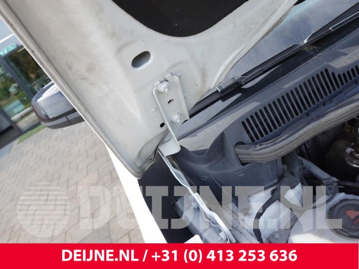 Volkswagen Caddy Bonnet Hinge O331367