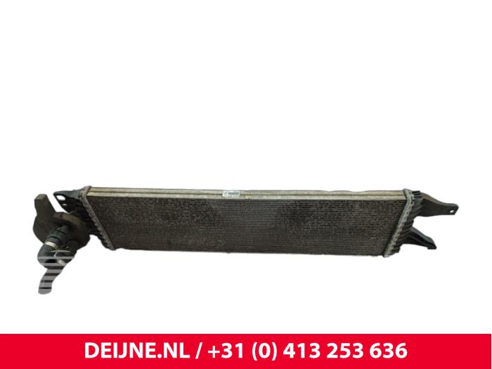 Volkswagen Transporter Radiateur O333368