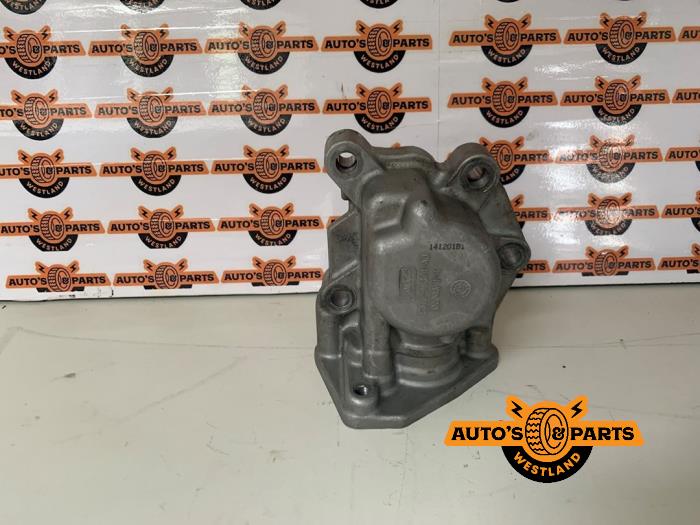 Gebruikte Hogedrukpomp Ford Usa Mustang VI Fastback 2.3 EcoBoost 16V Prijs € 50,00 Margeregeling aangeboden door Auto's en Parts Westland B.V.