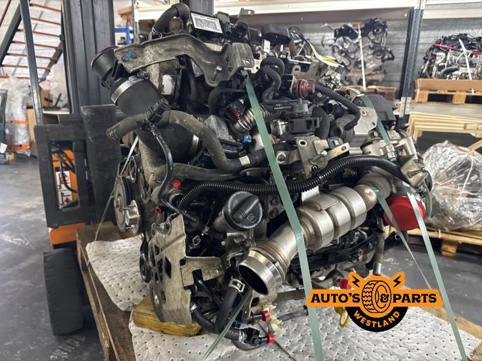 Gebruikte Motor Nissan Navara (D40) 3.0 dCi V6 24V DPF 4x4 Prijs € 9.075,00 Inclusief btw aangeboden door Auto's en Parts Westland B.V.
