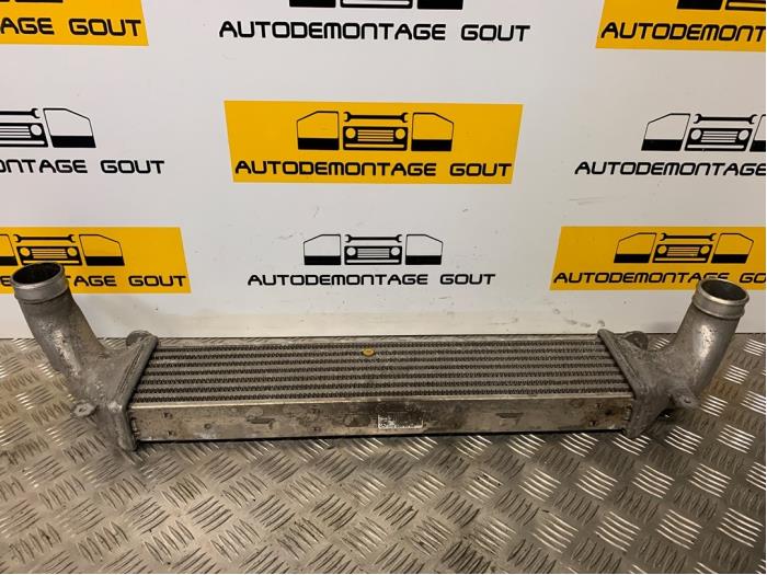 Gebruikte Intercooler Mercedes SLK (R170) 2.3 230 K 16V Prijs € 39,99 Margeregeling aangeboden door Autodemontage Gout