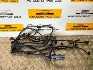 Gebruikte Elektrische Bedrading Compleet Austin Mini Open (R52) 1.6 16V Cooper S Prijs € 75,00 Margeregeling aangeboden door Autodemontage Gout