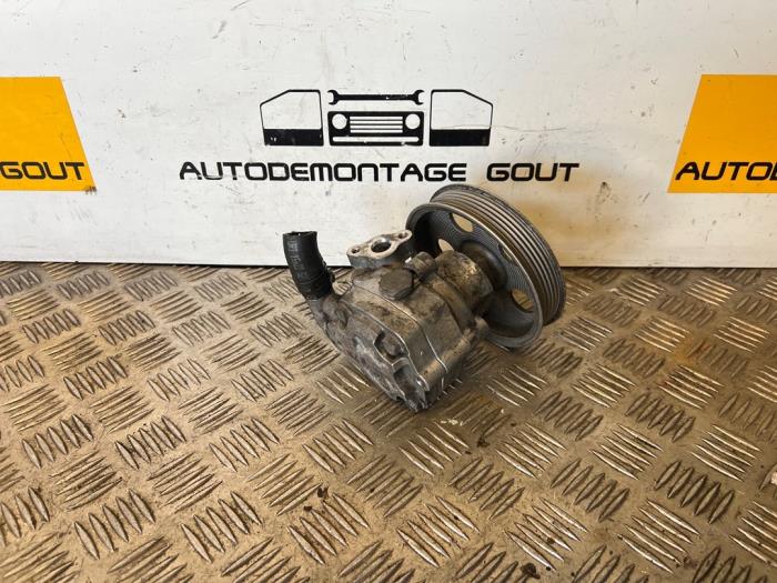 Stuurbekrachtiging Pomp Fiat Grande Punto 1.4 16V - BLM028 199A6000 DELPHI