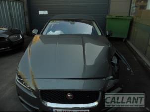 Gebruikte Head-up display Jaguar XE 2.0d 180 16V Prijs € 907,50 Inclusief btw aangeboden door Garage Callant