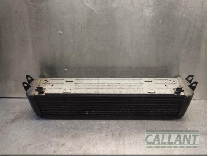 Gebruikte Intercooler Landrover Range Rover Sport (LS) 2.7 TDV6 24V Prijs € 90,75 Inclusief btw aangeboden door Garage Callant
