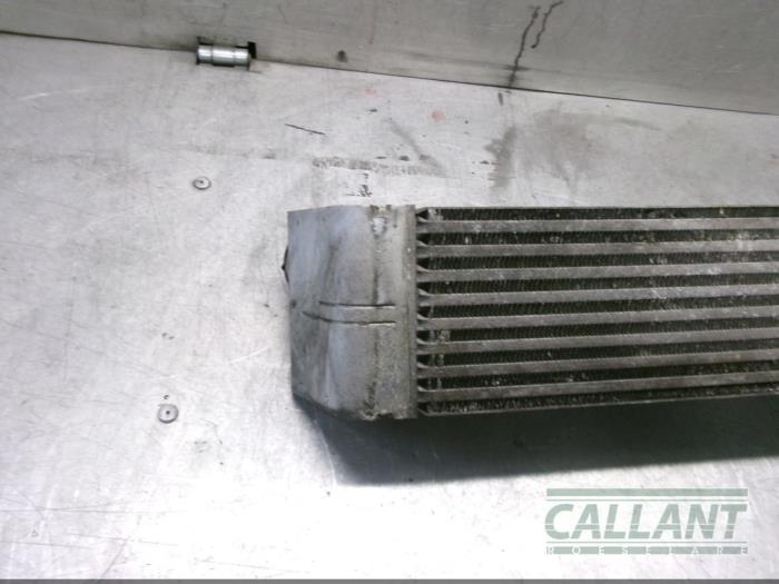 Intercooler van een Land Rover Range Rover III (LM) 2.9 TD6 24V 2003