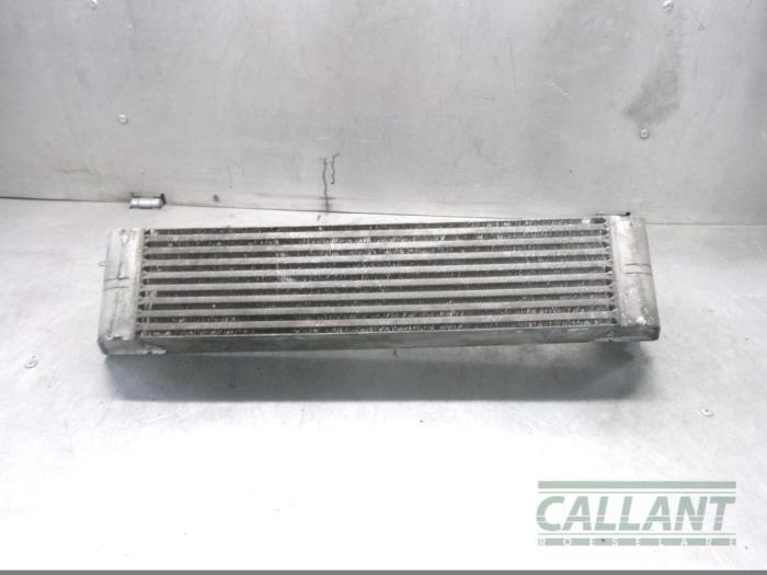 Intercooler van een Land Rover Range Rover III (LM) 2.9 TD6 24V 2003