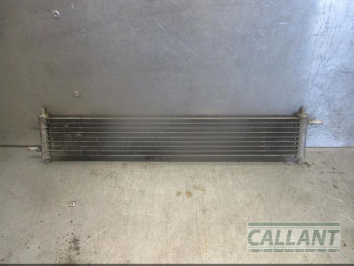 Gebruikte Brandstofkoeler Landrover Range Rover IV (LG) 4.4 SDV8 32V Prijs € 60,50 Inclusief btw aangeboden door Garage Callant