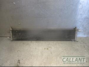 Gebruikte Brandstofkoeler Landrover Range Rover IV (LG) 4.4 SDV8 32V Prijs € 60,50 Inclusief btw aangeboden door Garage Callant