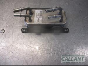 Gebruikte Brandstofkoeler Landrover Range Rover IV (LG) 3.0 TDV6 24V Prijs € 90,75 Inclusief btw aangeboden door Garage Callant